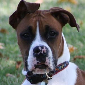 Meet your Posher, Jayne